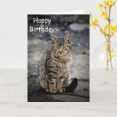 Portrait einer Katze Karte (Gelbe Blume)