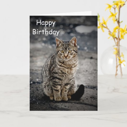 Portrait einer Katze Karte (Gelbe Blume)