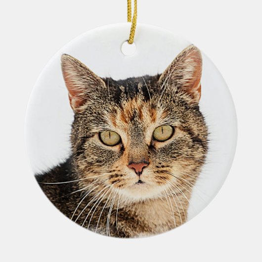 Portrait einer Katze Keramik Ornament (Vorne)