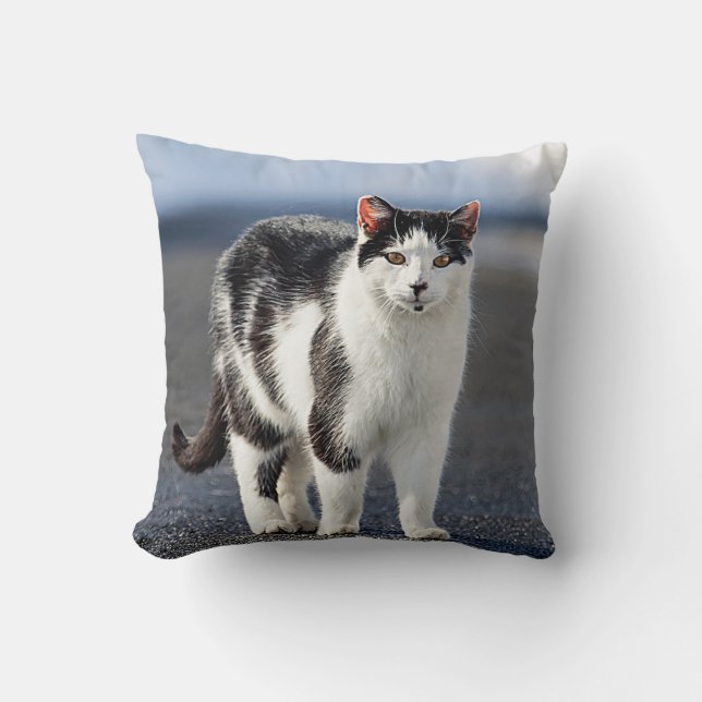 Portrait einer Katze Kissen (Vorderseite)