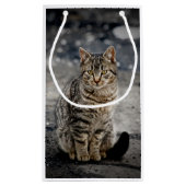Portrait einer Katze Kleine Geschenktüte (Rückseite)