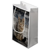 Portrait einer Katze Kleine Geschenktüte (Rückseite Schrägansicht)
