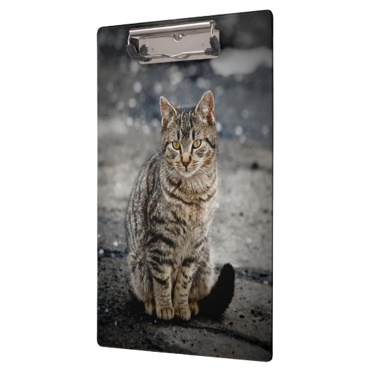 Portrait einer Katze Klemmbrett (Links)