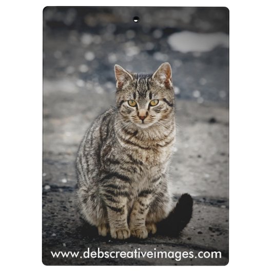 Portrait einer Katze Klemmbrett (Rückseite)