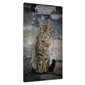 Portrait einer Katze Klemmbrett (Rechts)