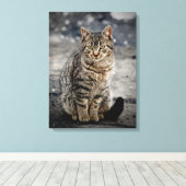 Portrait einer Katze Leinwanddruck (Insitu (Holzboden))