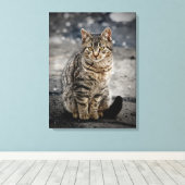 Portrait einer Katze Leinwanddruck (Insitu (Holzboden))