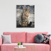 Portrait einer Katze Leinwanddruck (Insitu (Wohnzimmer))