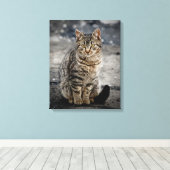 Portrait einer Katze Leinwanddruck (Insitu (Holzboden))