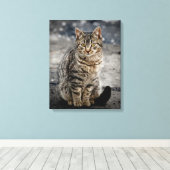 Portrait einer Katze Leinwanddruck (Insitu (Holzboden))