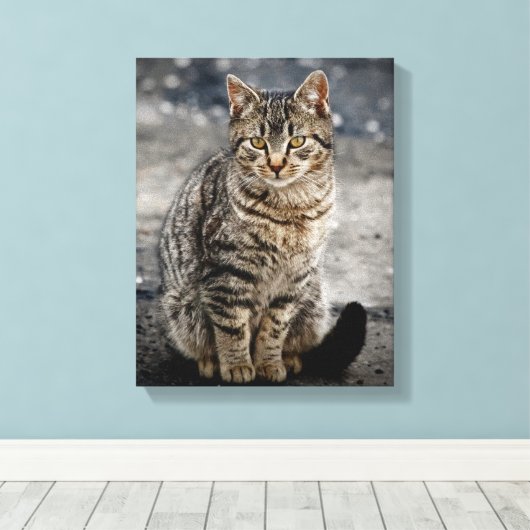 Portrait einer Katze Leinwanddruck (Insitu (Holzboden))