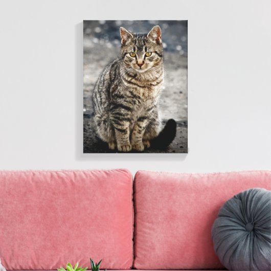 Portrait einer Katze Leinwanddruck (Insitu (Wohnzimmer))