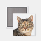 Portrait einer Katze Magnet (Vorderseite/Rückseite)