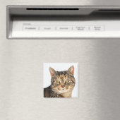 Portrait einer Katze Magnet (In Situ (Geschirrspüler))