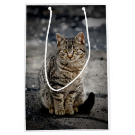 Portrait einer Katze Mittlere Geschenktüte