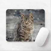 Portrait einer Katze Mousepad (Mit Mouse)