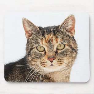Portrait einer Katze Mousepad