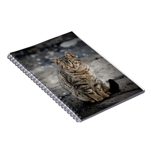 Portrait einer Katze Notizblock (Rechte Seite)