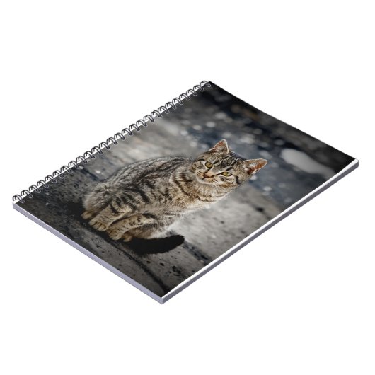 Portrait einer Katze Notizblock (Linke Seite)