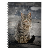 Portrait einer Katze Notizblock (Vorderseite)