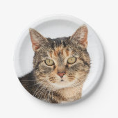Portrait einer Katze Pappteller (Vorderseite)
