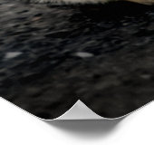 Portrait einer Katze Poster (Ecke)