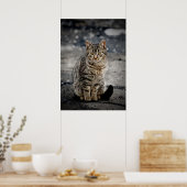 Portrait einer Katze Poster (Küche)