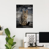 Portrait einer Katze Poster (Heimbüro)