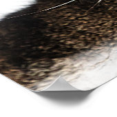 Portrait einer Katze Poster (Ecke)