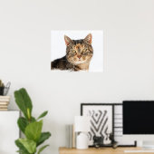 Portrait einer Katze Poster (Heimbüro)