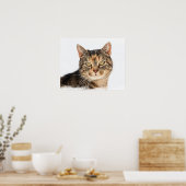 Portrait einer Katze Poster (Küche)