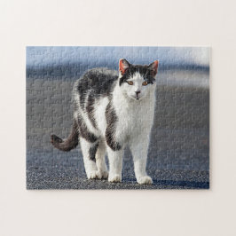 Portrait einer Katze Puzzle