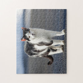 Portrait einer Katze Puzzle