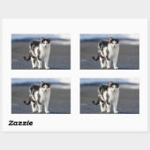 Portrait einer Katze Rechteckiger Aufkleber (Blatt)