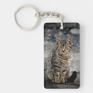 Portrait einer Katze Schlüsselanhänger