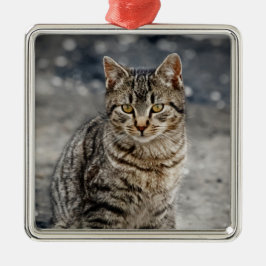 Portrait einer Katze Silbernes Ornament