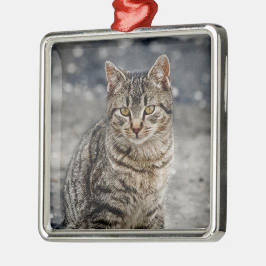 Portrait einer Katze Silbernes Ornament (Links)