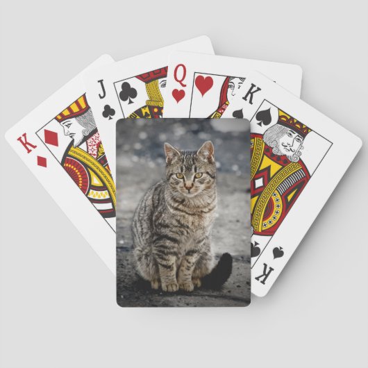 Portrait einer Katze Spielkarten (Rückseite)