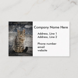 Portrait einer Katze Visitenkarte