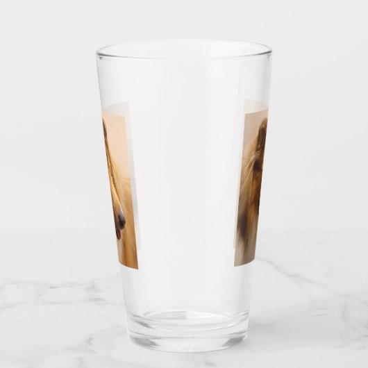 Portrait einer robusten Sable Collie Glas (Rechts)