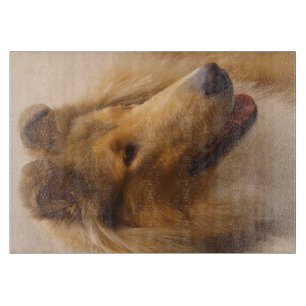 Portrait einer robusten Sable Collie Schneidebrett