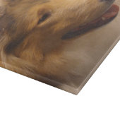Portrait einer robusten Sable Collie Schneidebrett (Ecke)