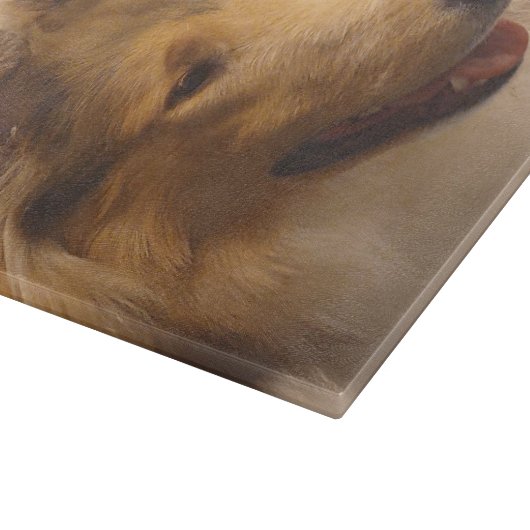 Portrait einer robusten Sable Collie Schneidebrett (Ecke)