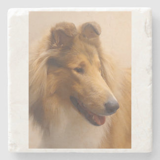 Portrait einer robusten Sable Collie Steinuntersetzer