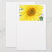Portrait einer Sonnenblume Briefpapier (Vorne/Hinten)