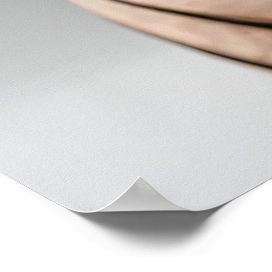 Portrait einer Sphynxkatze | AI Art Poster (Ecke)