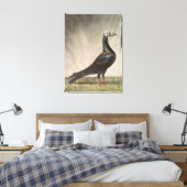 Portrait einer Taube Leinwanddruck (Insitu (Schlafzimmer))