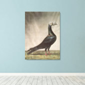 Portrait einer Taube Leinwanddruck (Insitu (Holzboden))