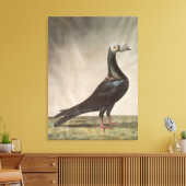 Portrait einer Taube Leinwanddruck (Insitu (Wohnzimmer))