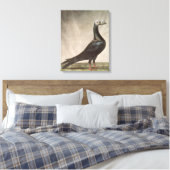 Portrait einer Taube Leinwanddruck (Insitu (Schlafzimmer))
